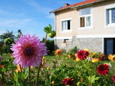 Casa y Jardín