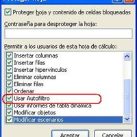 Quisiera usar autofiltro en una hoja de excel protegida